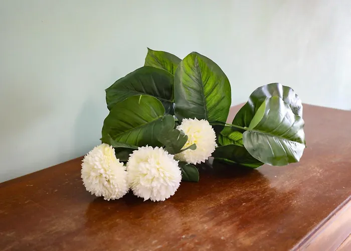Domus Antica Trastevere Рим